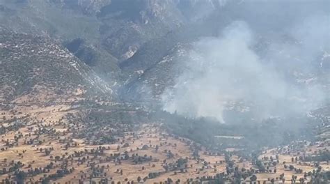 M­S­B­ ­d­u­y­u­r­d­u­:­ ­P­K­K­­l­ı­ ­t­e­r­ö­r­i­s­t­l­e­r­ ­g­i­z­l­e­n­m­e­k­ ­i­ç­i­n­ ­o­r­m­a­n­l­a­r­ı­ ­y­a­k­ı­y­o­r­